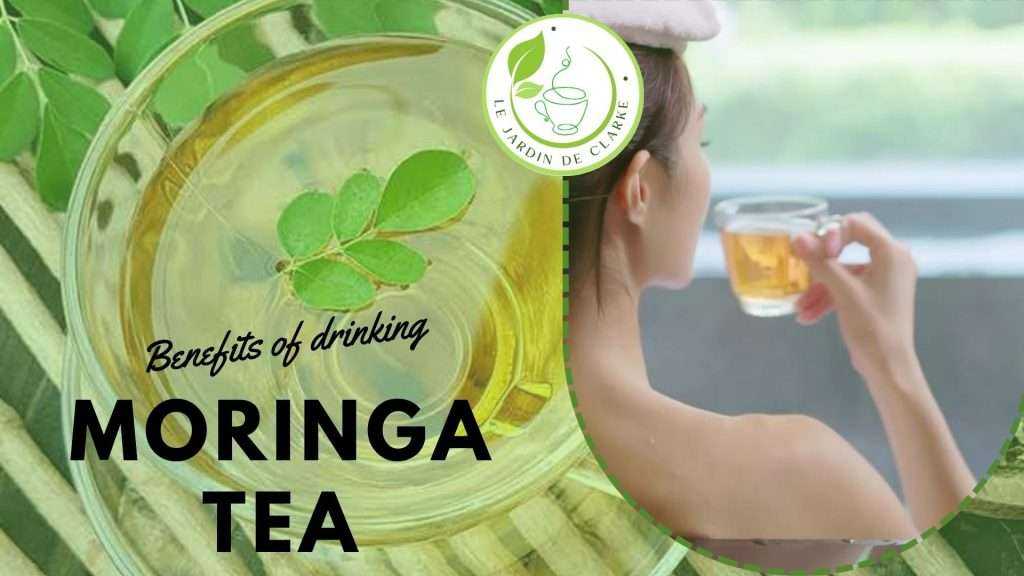 Benefits of drinking Moringa Tea
