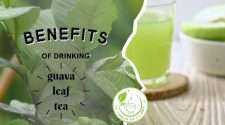 Guava leaf tea is believed to offer several potential health benefits