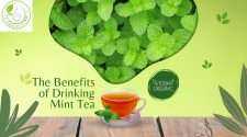 Exploring the Refreshing Benefits of Mint Tea