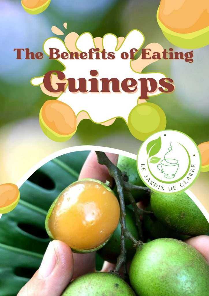 The Nutritional Marvel of Guineps: A Tropical Delight