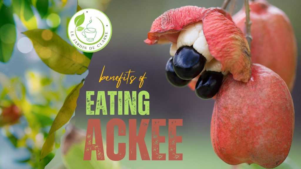 Unlocking the Nutritional Treasure: The Health Benefits of Ackee
