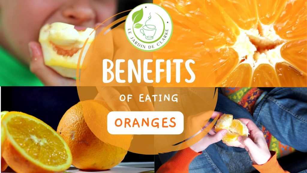 The Health Boost: Exploring the Benefits of Eating Oranges