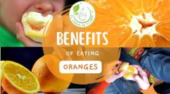 The Health Boost: Exploring the Benefits of Eating Oranges