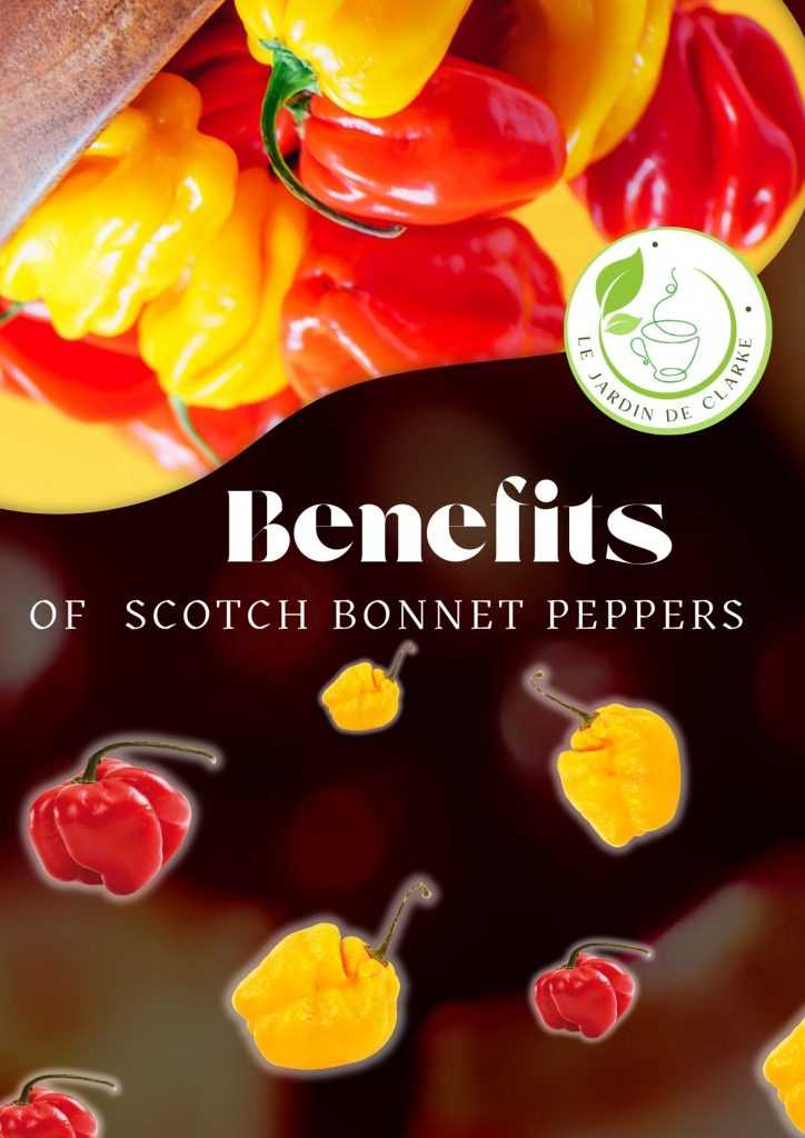 Unlocking the Spicy Secret: The Benefits of Eating Scotch Bonnet Peppers
