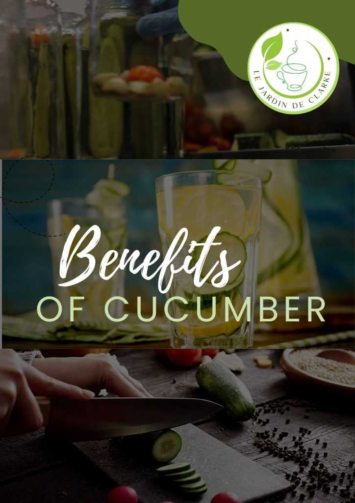 Unlocking the Health Benefits of Cucumbers: Nature's Hydrating Wonder