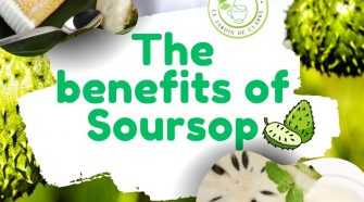 Exploring the Health Benefits of Soursop: Nature's Potent Gift