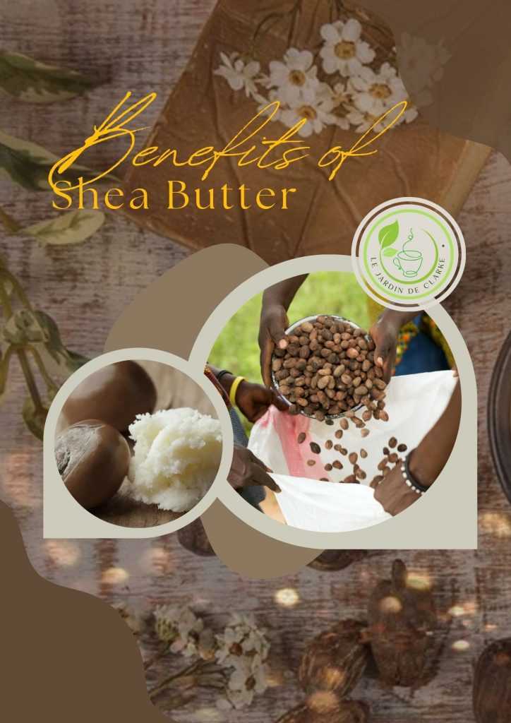 Unveiling the Nourishing Power of Shea Butter: Benefits Beyond Beauty
