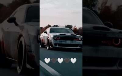 Please subscribe to the site if you can, and enjoy it.